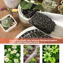 18lb Black Lava Rock for Plant, 1/8-1/4 inch Horticultural Volcanic Rock Soil for Decorative Landscaping Bonsai, Cacti, Succulents Plants Top Dressing for Release Excess Water