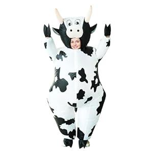 Christmas Inflatable Santa Costumes Blow Up Costumes for Men Women Adult for Holiday Party Carnival, One Size