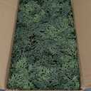 9 FT Christmas Cedar Garlands, Artificial Realistic Winter Cedar Pine Garland, Real Touch Greenery Garland for Fireplace,Table, Mantle, Wall, Indoor, Outdoor Home Party Decorations (1, 9FT)