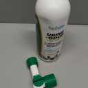 Urine & Odor Turf Detox: 32 oz Mango Scented Professional Enzyme Cleaner & Odor Eliminator for Artificial Grass, Turf, Concrete & Patios, Pet Urine Enzymatic Cleaner for Dogs & Cats