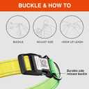 Personalized Dog Collars for Small Dogs, Reflective Dog Collar QR Code Name Tags, Soft Nylon, S (Green-Orange Gradient)