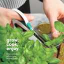Planters' Choice 9 Herb Indoor Window Garden Kit - Mother's Day Gifts - House Plants Seeds - Best Unique Gift Ideas for Women, Mom, Friend, Her, Birthday, Housewarming, Mother - Live Plant Starter