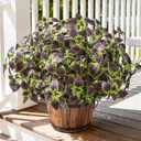Florisso Artificial Greenery Plants Outdoor, 5 Pcs Faux Coleus Plants UV Resistant Silk Plants with Stems, Fake Plants for Outside Garden Patio Hanging Planter Pathway Front Porch Decoration(Brown)
