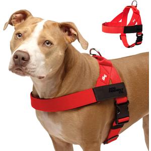 DF Co. Dog Harness | Chafe Resistant Webbing, Adjustable Neck & Chest, and Heavy Duty D-Ring | Sturdy, Comfortable, Easy to Use | Red, Size XL