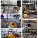 Hamiledyi 2PCS Parakeet Nesting Box Bird House Bird Nest Wood Breeding Box Parrot Mating Box for Parrot Lovebirds Cockatiel Conure Cockatoo Budgie Finch CanaryStyle A