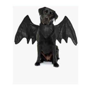 Onmygogo Funny Pet Reindeer Moose Costumes for Dog, Cute Furry Pet Wig for Halloween Christmas, Pet Clothing Accessories