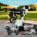 TailWaggers Dog Wheelchair for Back Legs | Adjustable Mobility Aid | All-Terrain Wheels