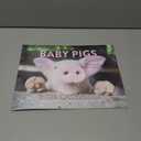 Baby Pig Calendar 2026 Wall 12 Month Piglet Gifts For Pigs Lovers Women Men Monthly Calender | American Made In The USA
