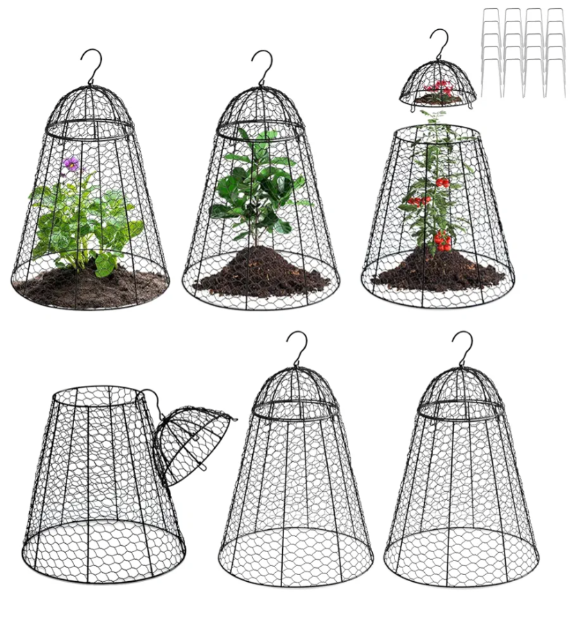 Garden Chicken Wire Cloche Pack of 6 , Large Plant Protectors from Animals, 11.81" W x 15.35" H Rustproof Garden Cloches for Plants with Removable Top and Hook for Easy Pruning