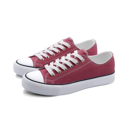 ANTLULU Womens Canvas Shoes Low Top and Lace up Fashion Casual Sneakers Black and White Classic, 8/39