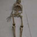 JOYIN 5.6 FT Halloween Posable Life Size Skeleton, Full Body Realistic Bones with Movable Joints, Giant Skeletons Halloween Decorations for Indoor Outdoor Haunted House Props, Spooky Scene Party Decor