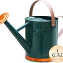 Metal Watering Can for Outdoor and Indoor Plants, Watering Can Decor, 1 Gallon (1 Gallon Green2)