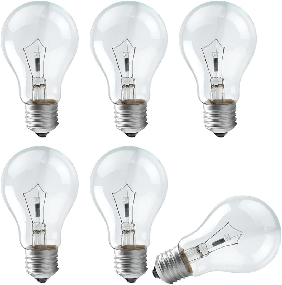 Incandescent Light Bulb, A19 E26 Medium Base, Dimmable, Soft White - 6 Count