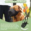 Mayerzon Dog Muzzle, Patented Soft Mesh Muzzle for Small Medium Large Dogs for Scavenging Biting Licking and Chewing, Allows to Pant and Drink (M, Black)