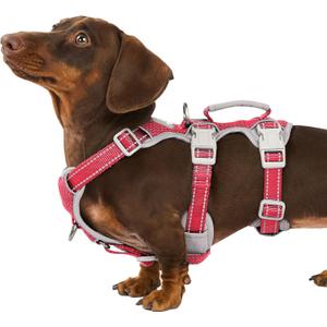 Huntboo No Escape Dog Harness, Escape Proof Harness, Fully Reflective Harness with Padded Handle, Breathable, Durable, Adjustable Vest for Small Dogs Walking,Training,and Running Gear(Red,S)