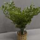 Faux Greenery Stems in Vase Aritificial Fern Plant in Glass Vase with Faux Water & Woven Cover Small Fake Desk Plants Greenery Centerpieces for Farmhouse Kitchen Dinner Tables Shelves Plants Decor