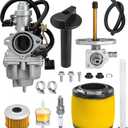 BlueStars TRX250 Carburetor Kit - Compatible with Honda TRX 250 Recon (TRX250TM, TRX250TE) ATV - Replaces 16100-HM8-B01, Includes Petcock, Air Filter, Fuel Filter, Oil Filter, Spark Plug, Lever Screw