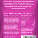 Tiki Cat Silver Mousse, with Salmon & Pumpkin in Broth, Silky Smooth Nutrient Rich Formulated for Older Cats Aged 11+, 2.9 oz. Pouch (12 Count)