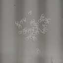 500 Pcs Wire Frame Christmas Light Clip White Plastic Replacement Clips for 1/4" and 1/8" Wire Frames to Hold Mini String Lights for Xmas Reindeer Holiday Yard Decoration