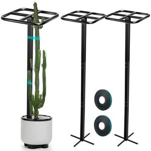 MorningRo 2 Pack Dragon Fruit Trellis Adjustable Metal Garden Plant Climbing Support with Wide Stretch Ties for Outdoor Vertical Gardens Vining Plants(60 Inch)