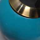 Tea Kettle Stovetop Whistling Kettle Teapot, Food Grade Stainless Steel Teakettle for Stove Top with Heat Proof Ergonomic Handle, 3.1 Quart Tea Pot (Blue)