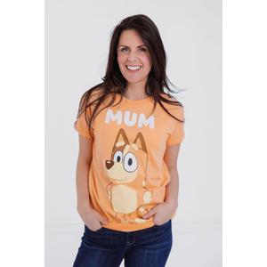 Bluey Matching Family T-Shirt Toddler to Adult Sizes (2T - 3XL) (Yellow, XXL)