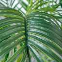 HAIHONG 6FT Artificial Palm Tree,Faux Areca Palm Plant with Real Touch Leaves and Adjustable Branches,Fake Tropical Palm Tree for Home Office Indoor Outdoor Modern Decoration