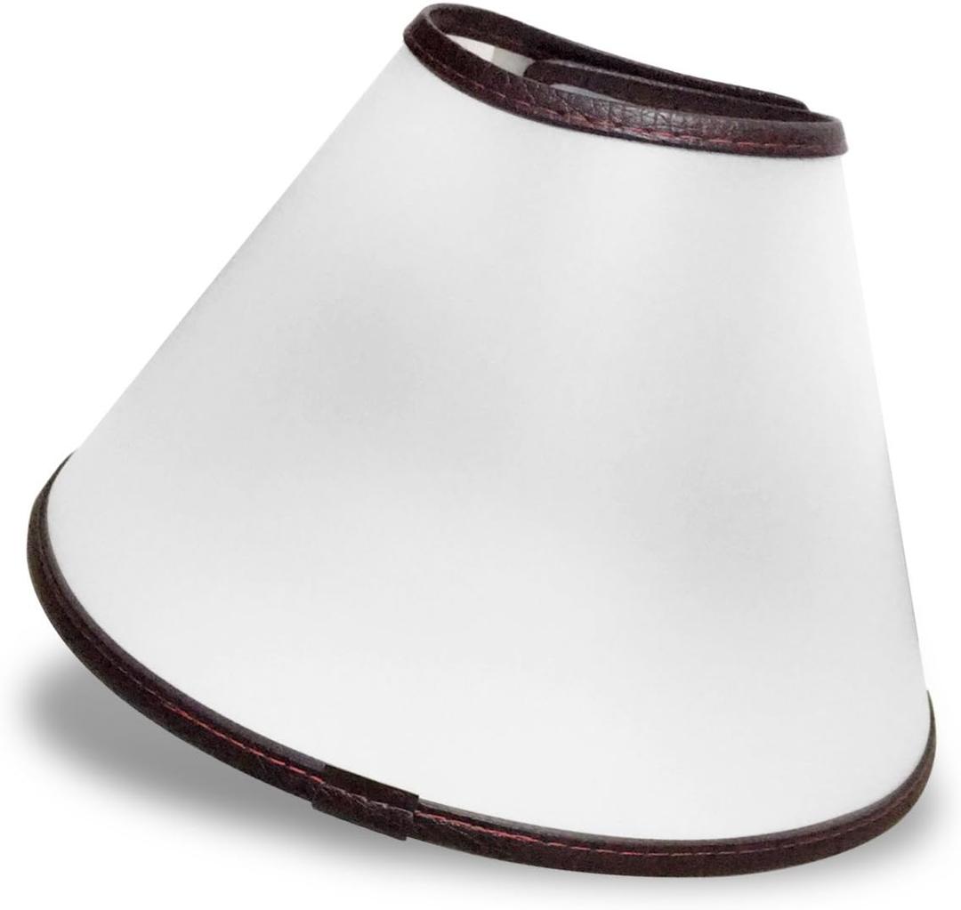 Adjustable Dog Collar - Protective Recovery Cone with Soft Edge for Anti-Bite, Surgery or Wound Healing (S)