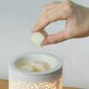 2 x Earnest Living Scented Wax Fragrance Melts Summer Daydream White Musk Grapefruit Patchouli Bergamot Amber Wax Cubes Pack Home Warmer Tart Electric Candle Air Freshener Aroma Decor Gift 2.5 oz (2-Pack)