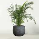 Olly & Rose Barcelona Ceramic Plant Pot Large 10 Inch - Charcoal Black Flower Pots - Plant Pots Indoor & Outdoor Planters Extra Large, 25cm