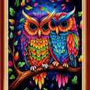 Findvoor Stamped Cross Stitch Kits for Beginner Embroidery Kits for Beginners Adults DIY 11CT Cross Stitch Patterns Needlepoint Kits Crossstitching Kits-Colorful Owl 16x20 inch (ArtworkColor09)