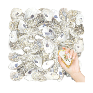 Stonechic 60PCS Oyster Shells 4"-5" Oyster Shells Bulk Large Oyster Shells for Home Decor Vase Filler, Ornaments, DIY Arts and Crafts Sea Shells, Deeper Shells