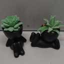 Der Rose Set of 2 Fake Plants Artificial Succulent Plants for Office Desk Accessories Black Bathroom Home Room Aesthetic Decor Indoor