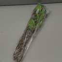 CISDUEO 3 Pcs Artificial Greenery Stems Branches for Vases Faux Branches with Leaves and Mini Red Berries 33" Fake Ficus Twigs for Office Wedding Shop Tall Vase Fillers Table Centerpieces Decoration