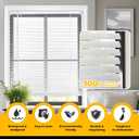 LazBlinds Cordless 1" Vinyl Mini Blinds for Indoor Windows - Light Filtering Horizontal Window Blinds & Shades, 36" W x 64" H, White