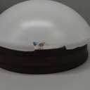 WESTINGHOUSE Lighting Corp 85613 5-1/2" Mushroom Ceil Shade, 1 Pack, White