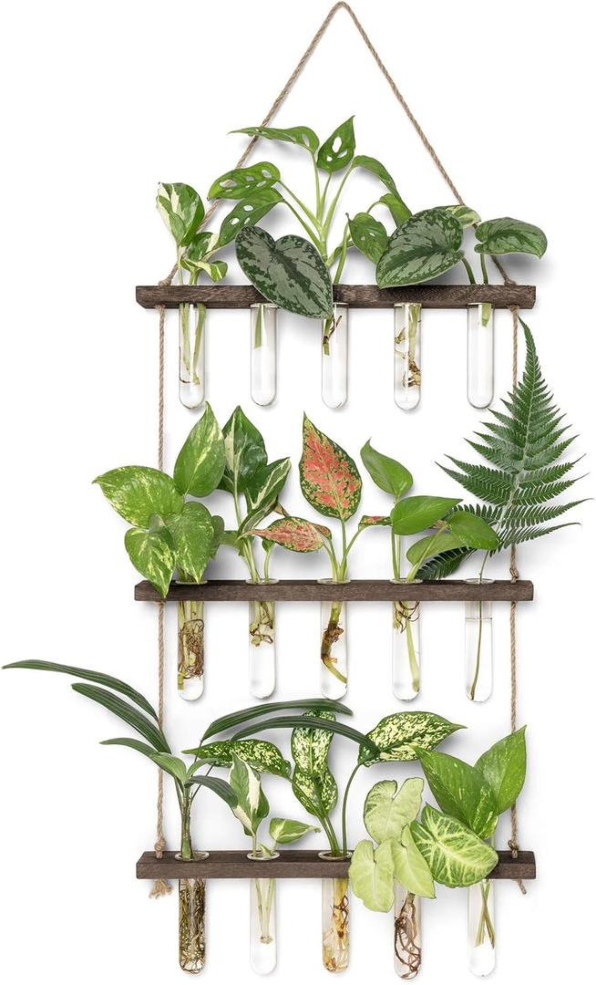 Mkono Plant Propagation Tubes, 3 Tiered Wall Hanging Terrarium with Wooden Stand Mini Test Tube Flower Vase Glass Planter Stations for Hydroponic Cutting Home Garden Office Decor Plant Lover Gift (Medium, Brown)