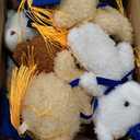 Foilswirl 24 Pcs Class of 2026 Mini Graduation Bears Bulk 4. 72'' Grad Bears Stuffed Animal Plush with Cap for Prek Kindergarten Graduation Party Gifts(Blue)