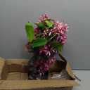 Artificial Flowers 18.5" Tall with Silk Wisteria Pink Flower Arrangement and Realistic Wood Fake Bonsai Tree Plants Faux Plants for Spring Home Bedroom Office Bathroom Coffee Table Centerpiece Decor