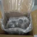 Aluminum Water Pump Kit Compatible with Audi A3 A4 A5 A6 Q3 Q5 TT A4 Allroad & VW Passat Jetta Golf CC Tiguan GTI Eos Beetle 2.0T TSI Engine，OE 1312460 06H121026DR 06H121026AF 06J121026R Set of 9