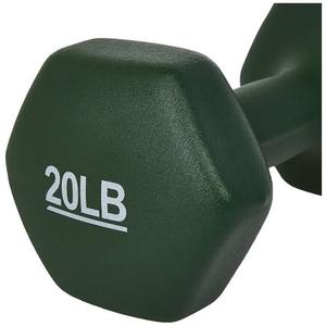 Amazon Basics Neoprene Coated Hexagon Workout Dumbbell Hand Weight
