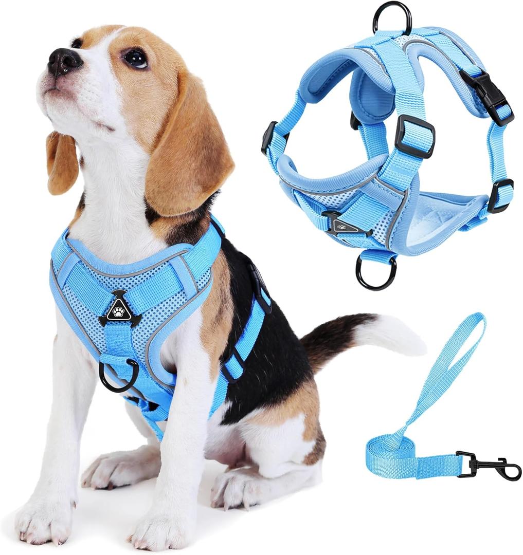 No Pull Dog Harness with Leash Set for Small Sized Dog, Reflective Adjustable No Choke Front Clip Cat Vest Harness with Breathable Mesh, Comfortable Soft Padded Pet Vest, Blue M (M (Neck 9.42-13.75'' Chest 9.42-15.72''))