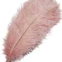 Happy Feather 16-18 inch Pink Ostrich Feathers Cratfs for Wedding Party Centerpieces Home Decoration DIY Craft Pack of 10