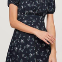 Fayth Meadow Dress (Medium)