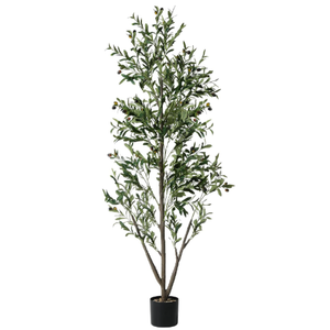 Olive Trees Artificial Indoor, 6FT Tall Faux Olive Tree with Lights Moss and Planter, Artificial Plants Indoor with Natural Wood Trunk and Lifelike Fruits, Fake Tree for Home Office Living Room Decor