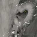 Angel Wings, Light Up Angel Wings and Halos with LED Lights, White Angel Wings Costume