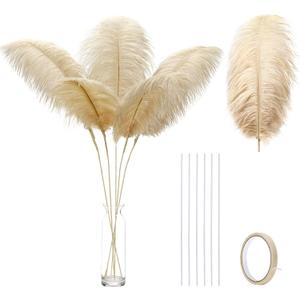 Ballinger Large Champagne Ostrich Feathers - 12pcs 24-26inch Feathers Making Kit Boho Feathers for Vase,Wedding Party Centerpieces and Home Decor