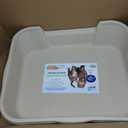 KittyGoHere Senior Cat Litter Box 1 Pack, Large Beach Sand Low Entrance Kitty Litter Box, Sized for Cats Comfort, Perfect for Senior and Arthritic Cats, Made in USA