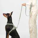 Hands Free Dog Leash Adjustable Versatile Crossbody Waist Dog Leash Reflective Comfortable Padded Handles Shock Absorbing Walking Lead for  Dogs (Super Reflect-Black, S)