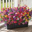 Ivydale Artificial Flowers for Outdoor 24 Bundles Fake Mums with Eucalyptus Leaves UV Resistant Silk Faux Daisy Flower Plant for Outside Home Porch Patio Window Box, 6 Color Mixed